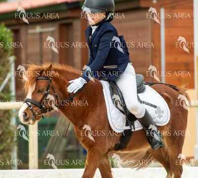 DOMA02032025S-140