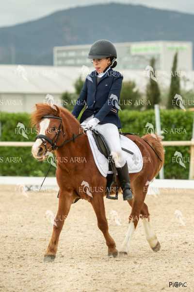 DOMA02032025S-146