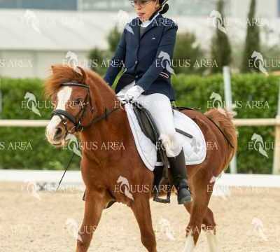 DOMA02032025S-146