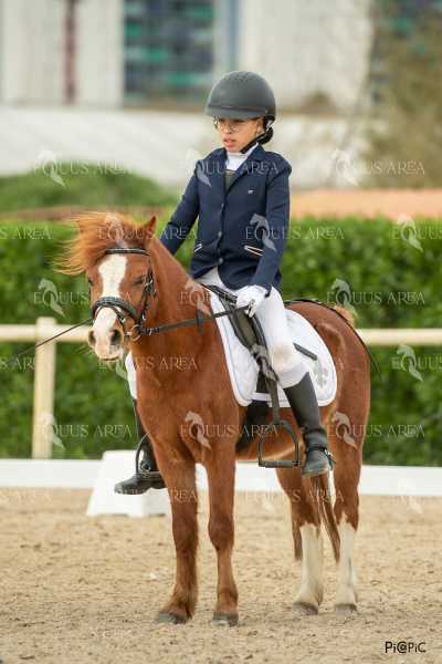 DOMA02032025S-147