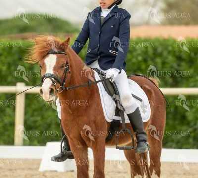 DOMA02032025S-147