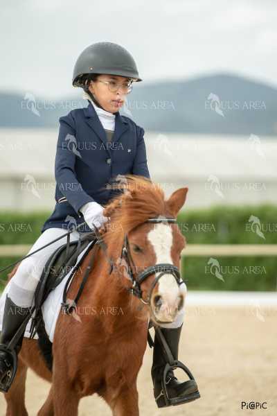 DOMA02032025S-149