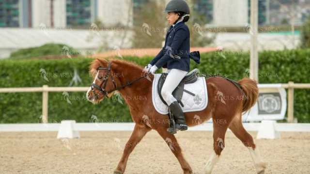 DOMA02032025S-151