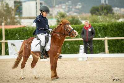 DOMA02032025S-152