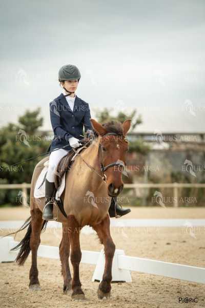 DOMA02032025S-153