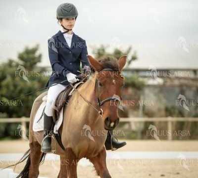 DOMA02032025S-153