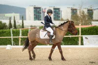 DOMA02032025S-162