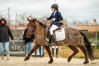 DOMA02032025S-163