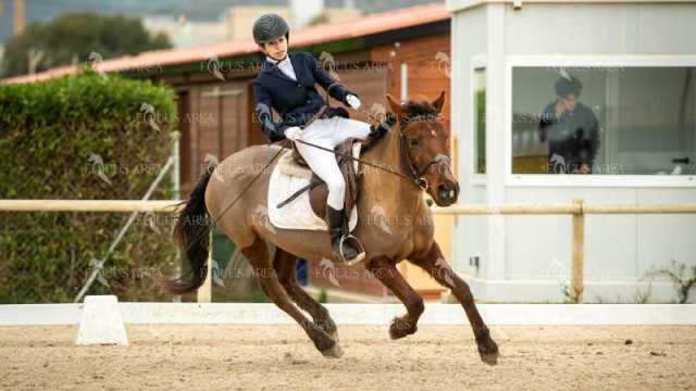 DOMA02032025S-164