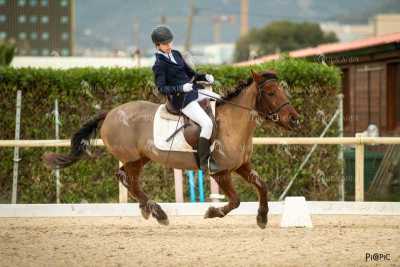 DOMA02032025S-165
