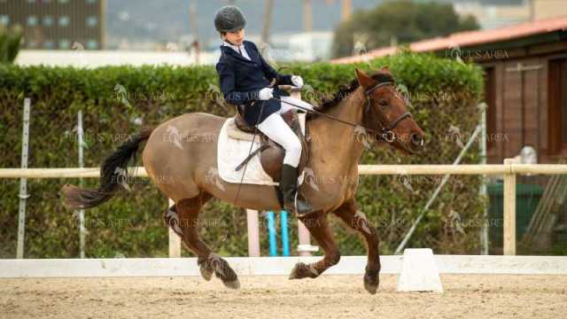 DOMA02032025S-165