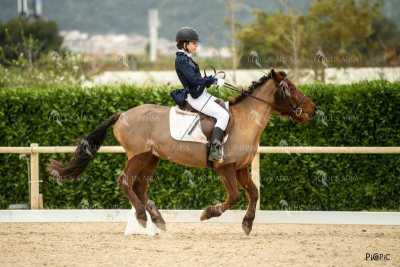 DOMA02032025S-168