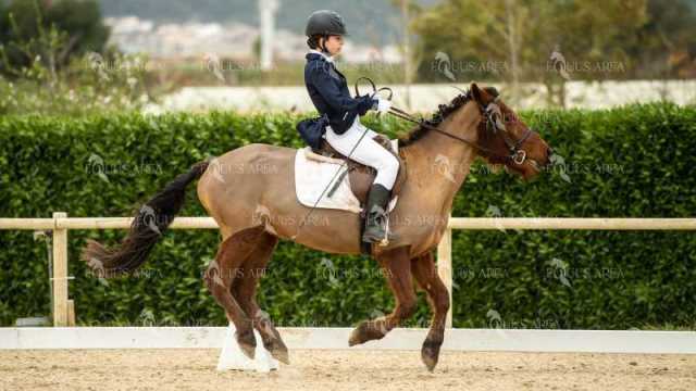 DOMA02032025S-168