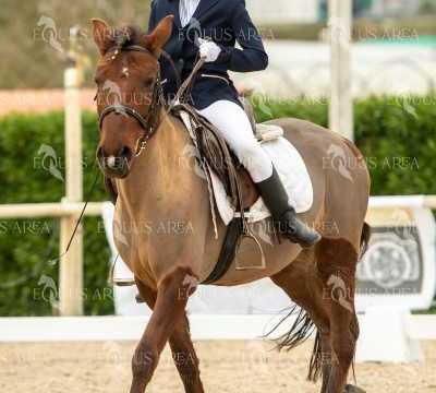 DOMA02032025S-169