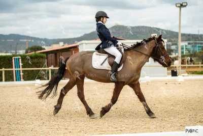 DOMA02032025S-170