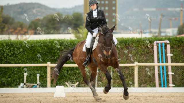 DOMA02032025S-172