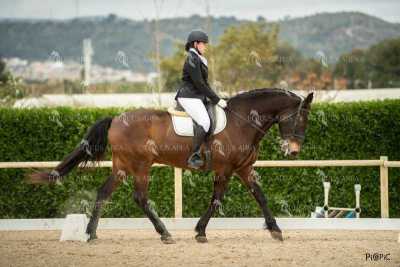DOMA02032025S-174