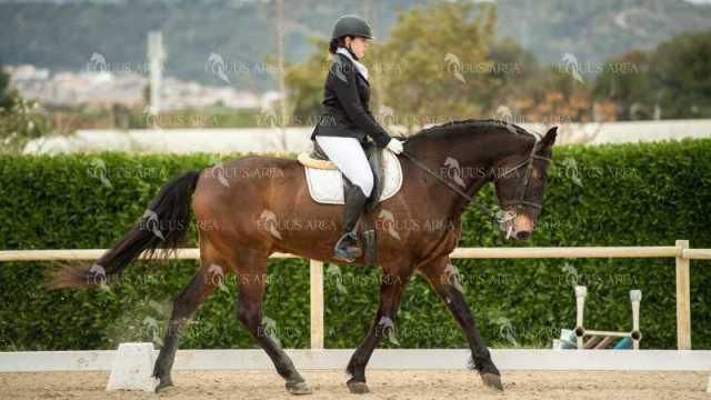 DOMA02032025S-174