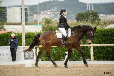 DOMA02032025S-175