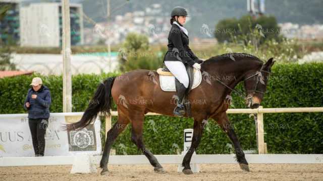DOMA02032025S-175