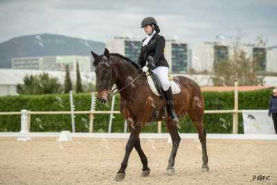 DOMA02032025S-176