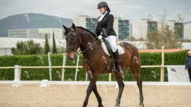 DOMA02032025S-176