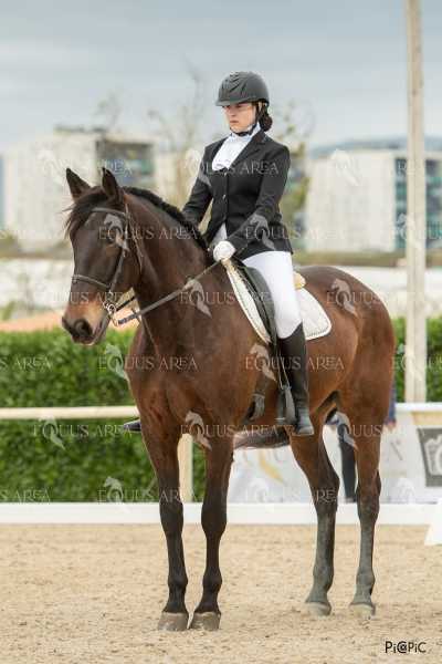 DOMA02032025S-177