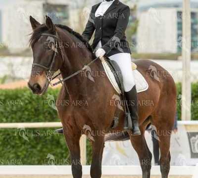 DOMA02032025S-177