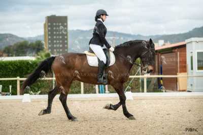DOMA02032025S-179