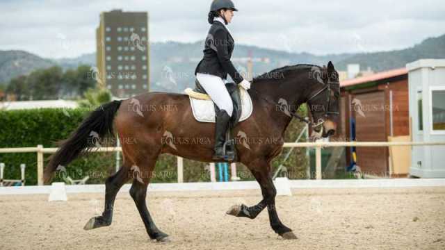 DOMA02032025S-179