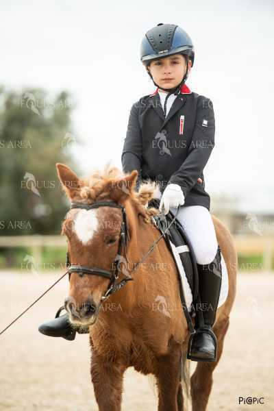 DOMA02032025S-194