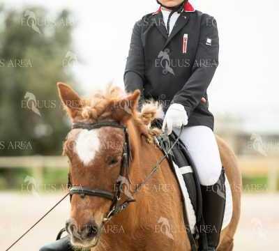 DOMA02032025S-194