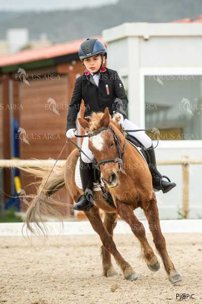 DOMA02032025S-197