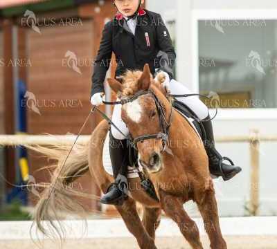 DOMA02032025S-197
