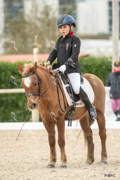 DOMA02032025S-203