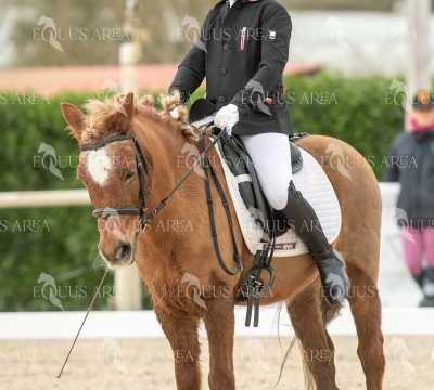DOMA02032025S-203