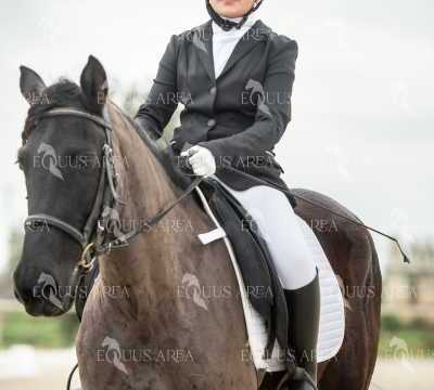 DOMA02032025S-208