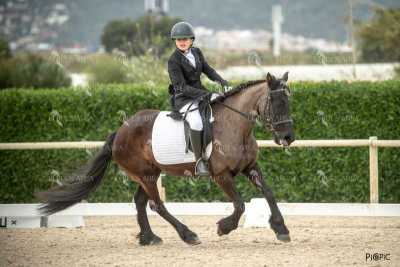 DOMA02032025S-213