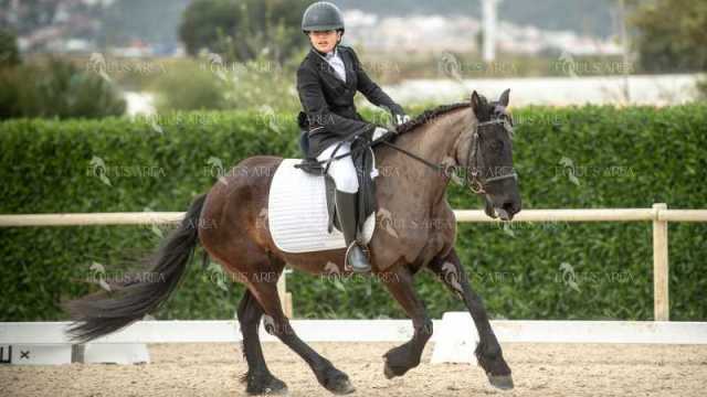 DOMA02032025S-213