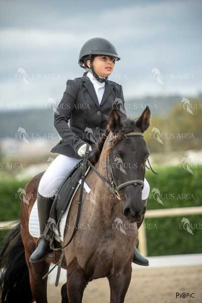 DOMA02032025S-216