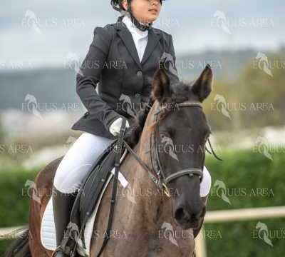 DOMA02032025S-216