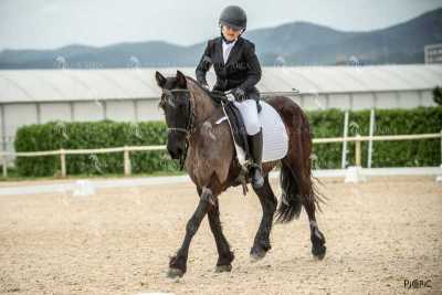 DOMA02032025S-219
