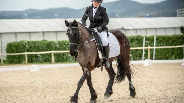 DOMA02032025S-219