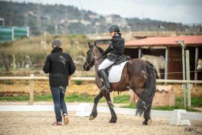 DOMA02032025S-220