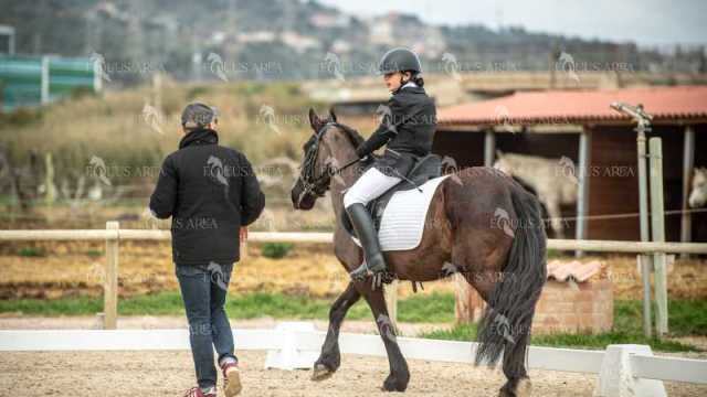 DOMA02032025S-220