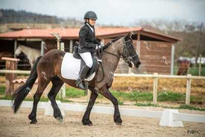 DOMA02032025S-222