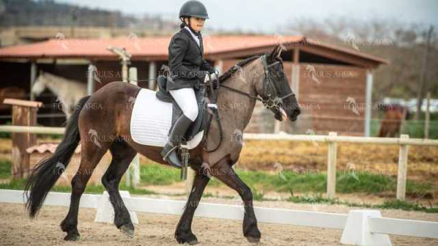 DOMA02032025S-222