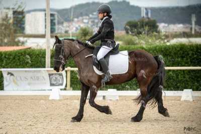 DOMA02032025S-223