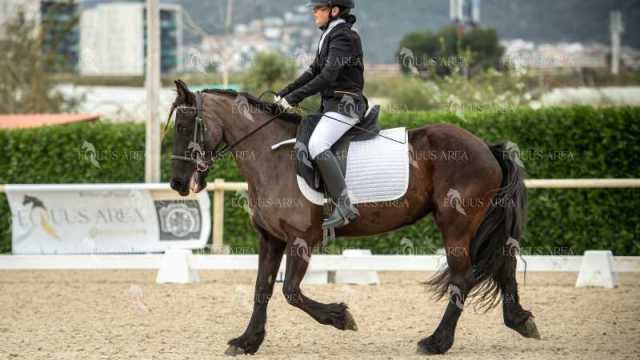DOMA02032025S-223