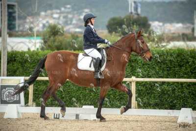 DOMA02032025S-232